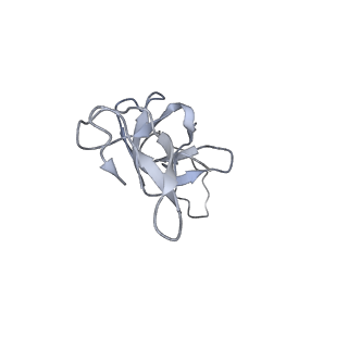 16507_8c9a_U_v1-0
Cryo-EM captures early ribosome assembly in action