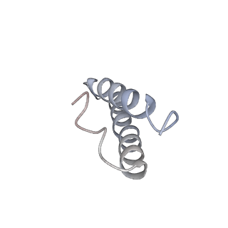 16507_8c9a_Y_v1-0
Cryo-EM captures early ribosome assembly in action