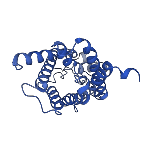 16510_8c9h_A_v1-2
AQP7_inhibitor