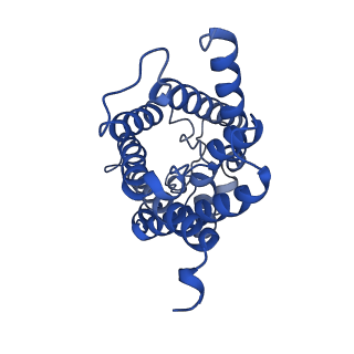 16510_8c9h_C_v1-2
AQP7_inhibitor