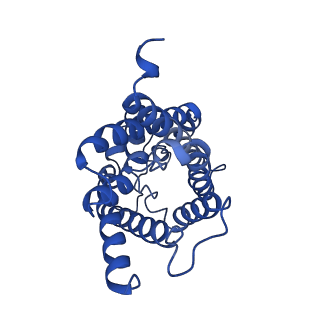 16510_8c9h_D_v1-2
AQP7_inhibitor