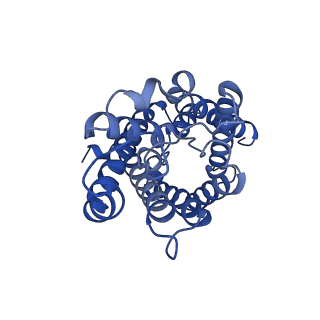 16510_8c9h_E_v1-2
AQP7_inhibitor