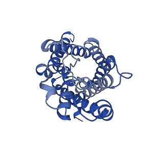 16510_8c9h_G_v1-2
AQP7_inhibitor