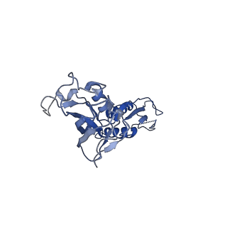 30307_7c97_B_v1-1
Cryo-EM structure of an Escherichia coli RNAP-promoter open complex (RPo) with SspA