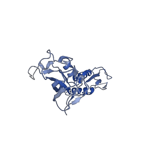 30307_7c97_B_v1-2
Cryo-EM structure of an Escherichia coli RNAP-promoter open complex (RPo) with SspA