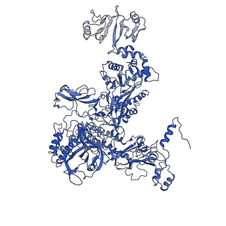30307_7c97_C_v1-1
Cryo-EM structure of an Escherichia coli RNAP-promoter open complex (RPo) with SspA