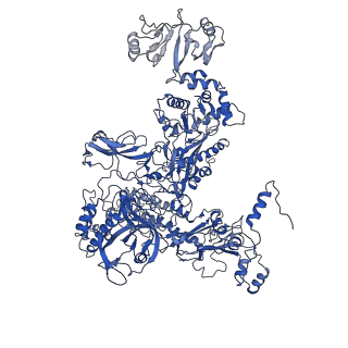 30307_7c97_C_v1-2
Cryo-EM structure of an Escherichia coli RNAP-promoter open complex (RPo) with SspA