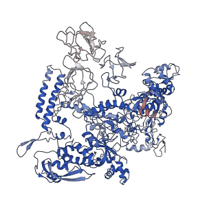 30307_7c97_D_v1-1
Cryo-EM structure of an Escherichia coli RNAP-promoter open complex (RPo) with SspA
