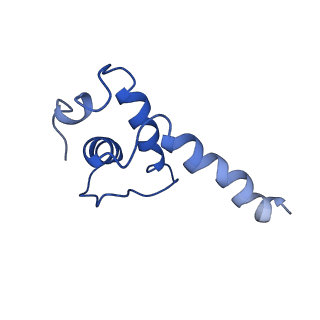 30307_7c97_E_v1-1
Cryo-EM structure of an Escherichia coli RNAP-promoter open complex (RPo) with SspA
