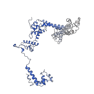 30307_7c97_F_v1-1
Cryo-EM structure of an Escherichia coli RNAP-promoter open complex (RPo) with SspA