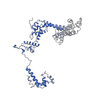 30307_7c97_F_v1-2
Cryo-EM structure of an Escherichia coli RNAP-promoter open complex (RPo) with SspA