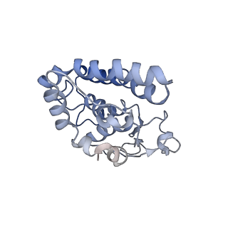 30307_7c97_I_v1-1
Cryo-EM structure of an Escherichia coli RNAP-promoter open complex (RPo) with SspA