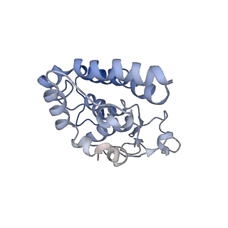 30307_7c97_I_v1-2
Cryo-EM structure of an Escherichia coli RNAP-promoter open complex (RPo) with SspA