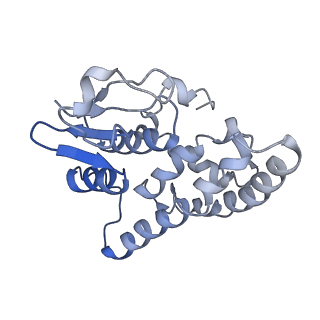 30307_7c97_J_v1-1
Cryo-EM structure of an Escherichia coli RNAP-promoter open complex (RPo) with SspA