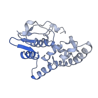 30307_7c97_J_v1-2
Cryo-EM structure of an Escherichia coli RNAP-promoter open complex (RPo) with SspA