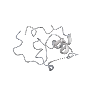 30307_7c97_K_v1-1
Cryo-EM structure of an Escherichia coli RNAP-promoter open complex (RPo) with SspA