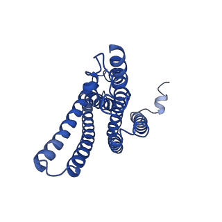 30312_7c9i_C_v1-0
Human gamma-secretase in complex with small molecule L-685,458