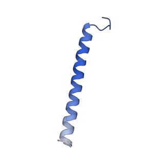 30314_7c9r_N_v1-1
STRUCTURE OF PHOTOSYNTHETIC LH1-RC SUPER-COMPLEX OF THIORHODOVIBRIO STRAIN 970