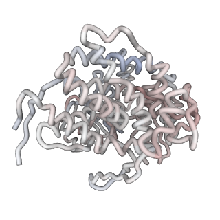 5002_3c9v_B_v1-3
C7 Symmetrized Structure of Unliganded GroEL at 4.7 Angstrom Resolution from CryoEM