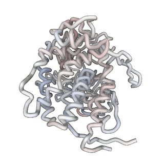 5002_3c9v_G_v1-3
C7 Symmetrized Structure of Unliganded GroEL at 4.7 Angstrom Resolution from CryoEM