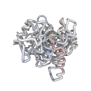 5002_3c9v_K_v1-3
C7 Symmetrized Structure of Unliganded GroEL at 4.7 Angstrom Resolution from CryoEM