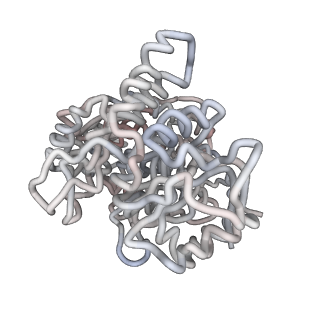 5002_3c9v_N_v1-3
C7 Symmetrized Structure of Unliganded GroEL at 4.7 Angstrom Resolution from CryoEM