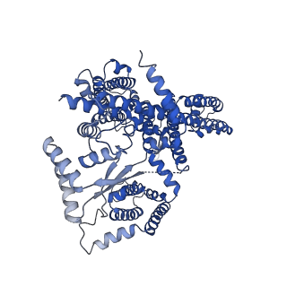 7434_6c96_B_v1-4
Cryo-EM structure of mouse TPC1 channel in the apo state