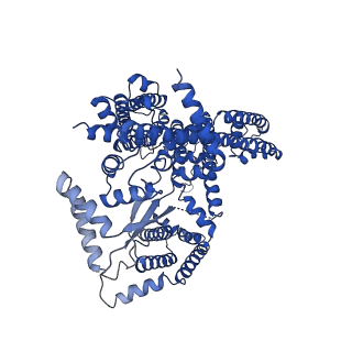 7435_6c9a_A_v1-4
Cryo-EM structure of mouse TPC1 channel in the PtdIns(3,5)P2-bound state