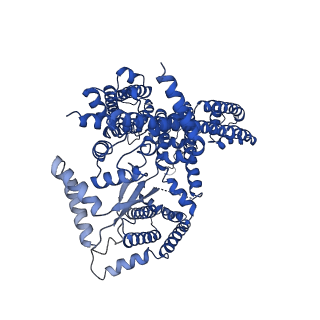 7435_6c9a_A_v2-0
Cryo-EM structure of mouse TPC1 channel in the PtdIns(3,5)P2-bound state