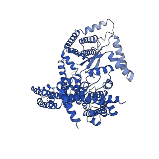 7435_6c9a_B_v1-4
Cryo-EM structure of mouse TPC1 channel in the PtdIns(3,5)P2-bound state