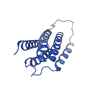 7436_6c9i_A_v1-1
Single-Particle reconstruction of DARP14 - A designed protein scaffold displaying ~17kDa DARPin proteins - Scaffold