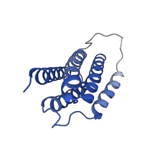 7436_6c9i_A_v1-2
Single-Particle reconstruction of DARP14 - A designed protein scaffold displaying ~17kDa DARPin proteins - Scaffold