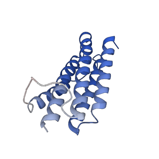 7436_6c9i_B_v1-1
Single-Particle reconstruction of DARP14 - A designed protein scaffold displaying ~17kDa DARPin proteins - Scaffold