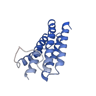 7436_6c9i_B_v1-2
Single-Particle reconstruction of DARP14 - A designed protein scaffold displaying ~17kDa DARPin proteins - Scaffold