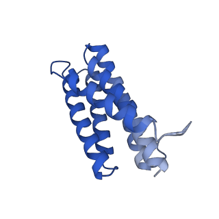 7436_6c9i_C_v1-1
Single-Particle reconstruction of DARP14 - A designed protein scaffold displaying ~17kDa DARPin proteins - Scaffold