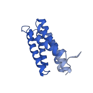 7436_6c9i_C_v1-2
Single-Particle reconstruction of DARP14 - A designed protein scaffold displaying ~17kDa DARPin proteins - Scaffold
