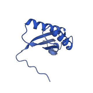 7436_6c9i_F_v1-1
Single-Particle reconstruction of DARP14 - A designed protein scaffold displaying ~17kDa DARPin proteins - Scaffold