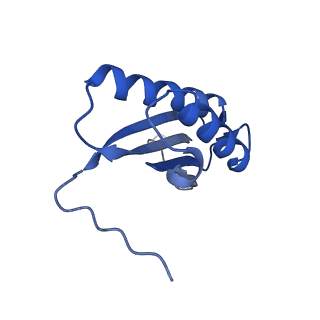 7436_6c9i_F_v1-2
Single-Particle reconstruction of DARP14 - A designed protein scaffold displaying ~17kDa DARPin proteins - Scaffold