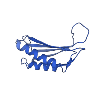 7436_6c9i_G_v1-1
Single-Particle reconstruction of DARP14 - A designed protein scaffold displaying ~17kDa DARPin proteins - Scaffold