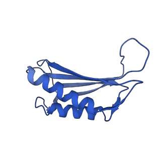 7436_6c9i_G_v1-2
Single-Particle reconstruction of DARP14 - A designed protein scaffold displaying ~17kDa DARPin proteins - Scaffold