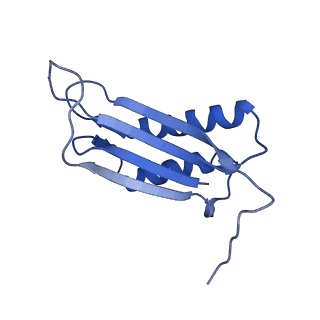 7436_6c9i_H_v1-1
Single-Particle reconstruction of DARP14 - A designed protein scaffold displaying ~17kDa DARPin proteins - Scaffold