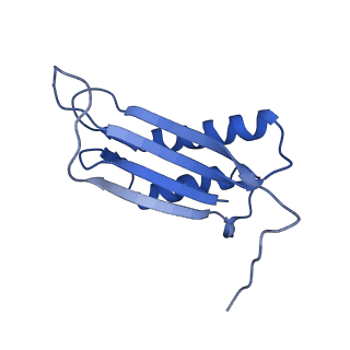 7436_6c9i_H_v1-2
Single-Particle reconstruction of DARP14 - A designed protein scaffold displaying ~17kDa DARPin proteins - Scaffold