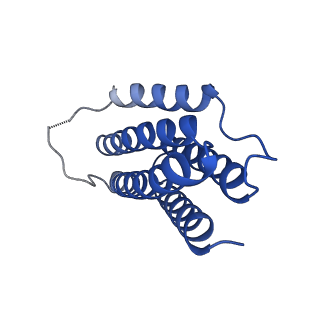 7436_6c9i_I_v1-1
Single-Particle reconstruction of DARP14 - A designed protein scaffold displaying ~17kDa DARPin proteins - Scaffold