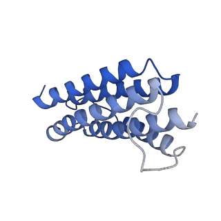 7436_6c9i_J_v1-1
Single-Particle reconstruction of DARP14 - A designed protein scaffold displaying ~17kDa DARPin proteins - Scaffold