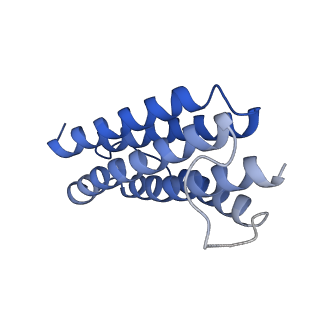 7436_6c9i_J_v1-2
Single-Particle reconstruction of DARP14 - A designed protein scaffold displaying ~17kDa DARPin proteins - Scaffold