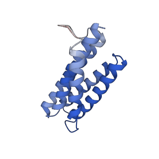 7436_6c9i_K_v1-1
Single-Particle reconstruction of DARP14 - A designed protein scaffold displaying ~17kDa DARPin proteins - Scaffold