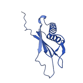 7436_6c9i_M_v1-2
Single-Particle reconstruction of DARP14 - A designed protein scaffold displaying ~17kDa DARPin proteins - Scaffold