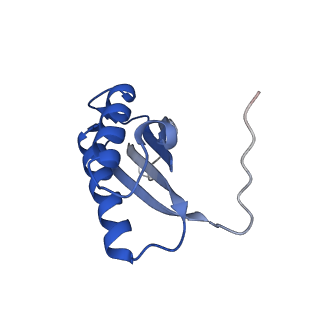 7436_6c9i_N_v1-1
Single-Particle reconstruction of DARP14 - A designed protein scaffold displaying ~17kDa DARPin proteins - Scaffold