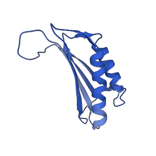 7436_6c9i_O_v1-1
Single-Particle reconstruction of DARP14 - A designed protein scaffold displaying ~17kDa DARPin proteins - Scaffold