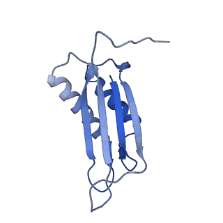 7436_6c9i_P_v1-1
Single-Particle reconstruction of DARP14 - A designed protein scaffold displaying ~17kDa DARPin proteins - Scaffold